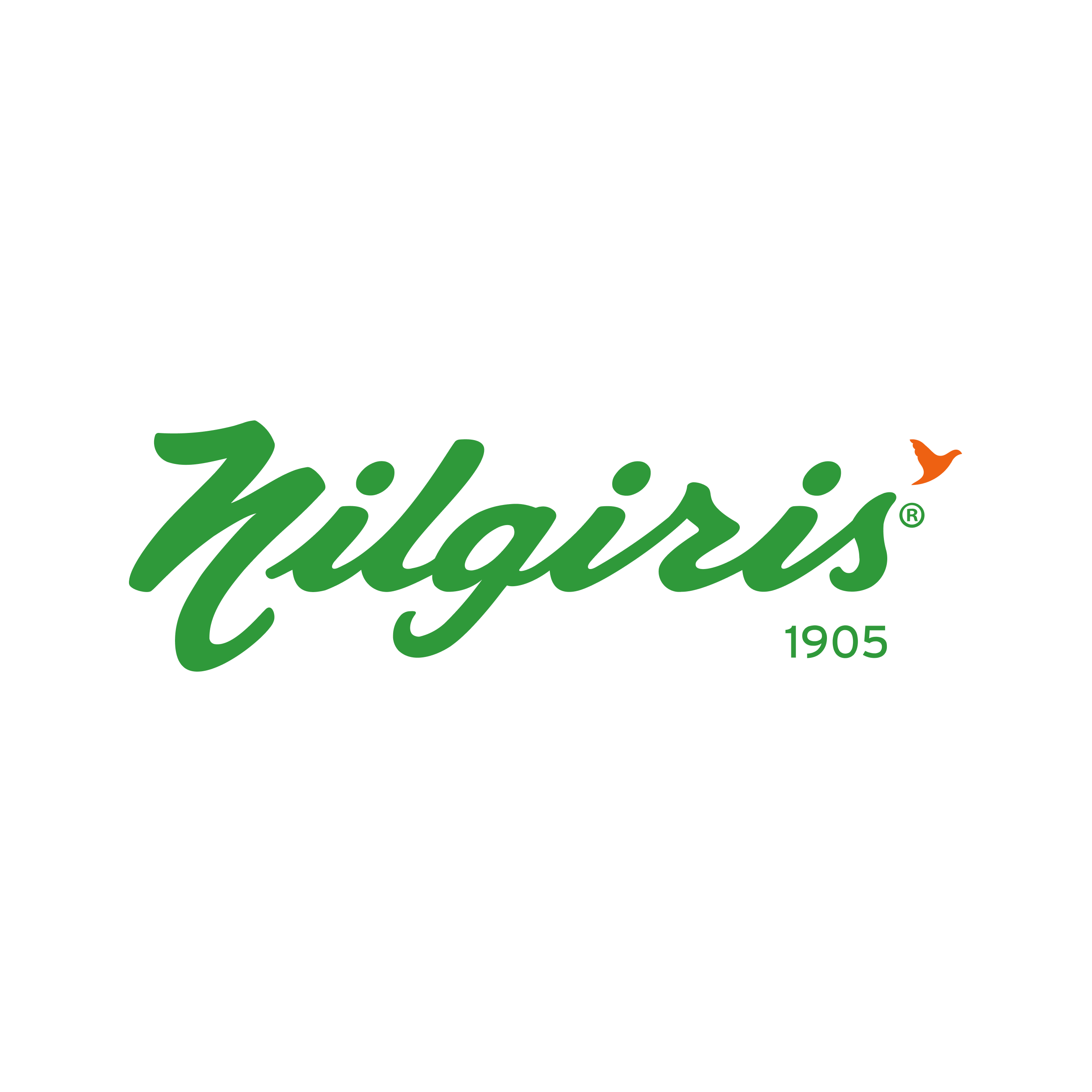 Nilgiris 1905 - Trusted Partner